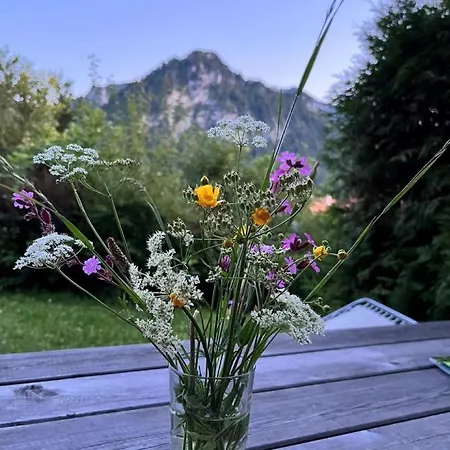 公寓 Kienberglblick - Chiemgau Karte 因泽尔
